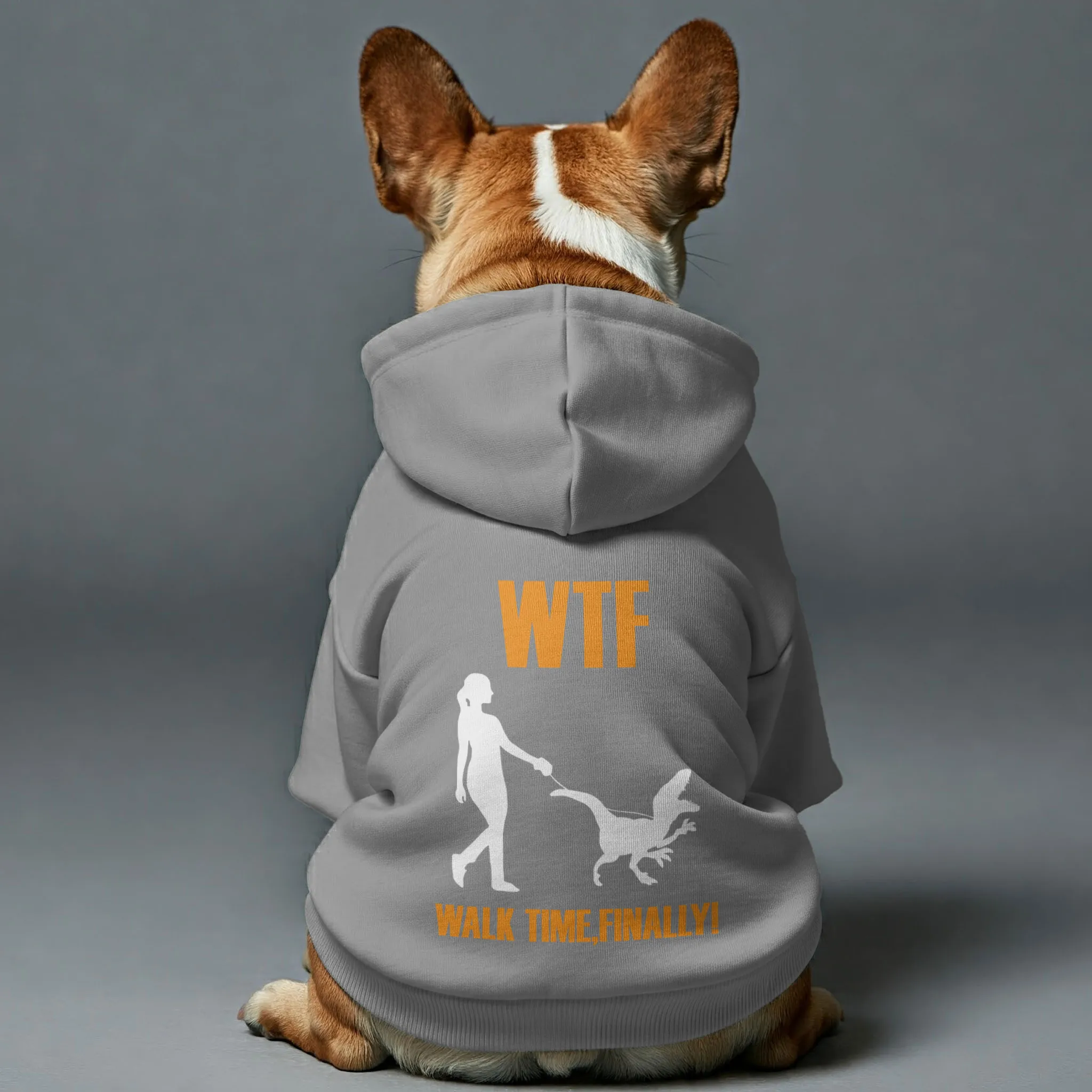 Walk Time - Personalized French Bulldog Hoodies with Funny Quotes – Stylish, Cozy, and Premium 100% Cotton