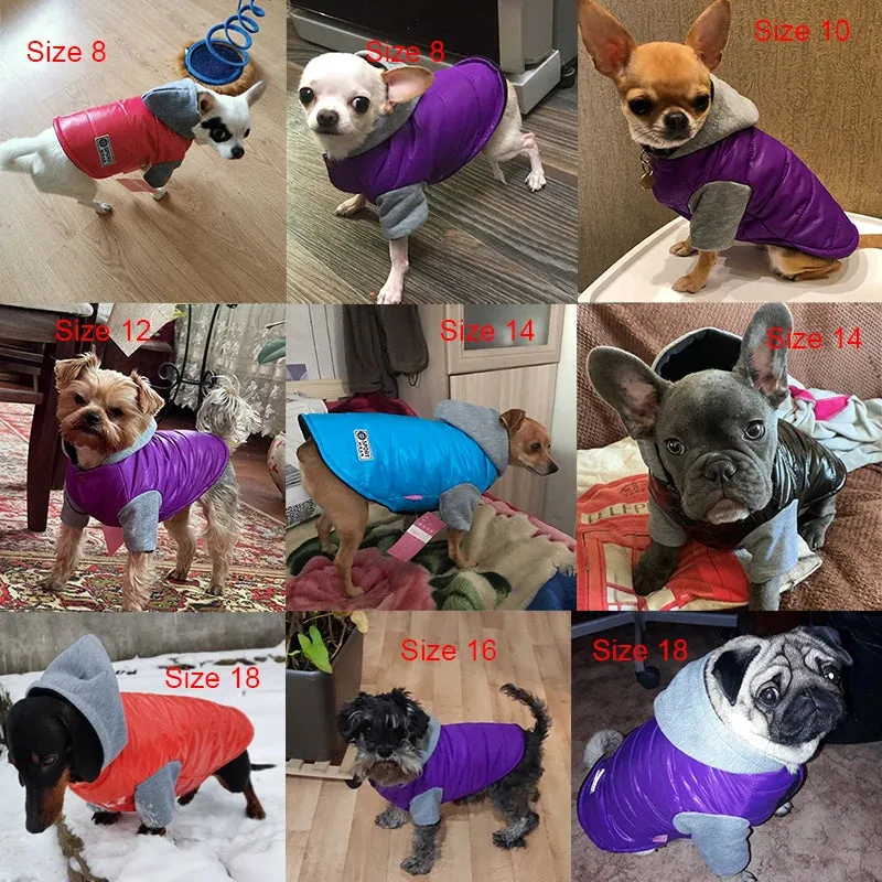 Warm and Cozy Winter Dog Fleece Hoodies - Ideal for Small and Medium Dogs like Chihuahuas, French Bulldogs, and Pugs, and Even Cats